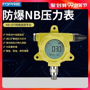 拓普瑞高精度NB-IOT無(wú)線溫度表TP2402V1.0-EX低功耗防爆溫度表