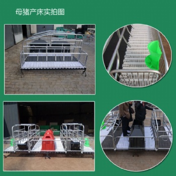 母豬產床哪家性價比高母豬產床用途