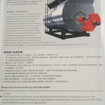 銀晨集團 百陽豐鍋爐循環(huán)流化床鍋爐煤質要求品質廠家