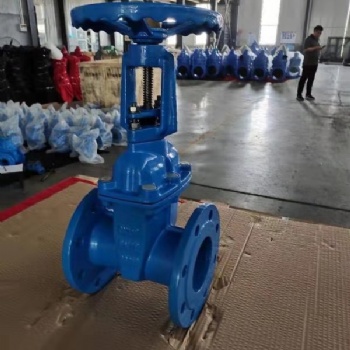 石家莊Z41X明桿彈性座封閘閥