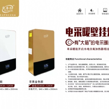 嵐帝爾采暖爐壁掛爐廠家