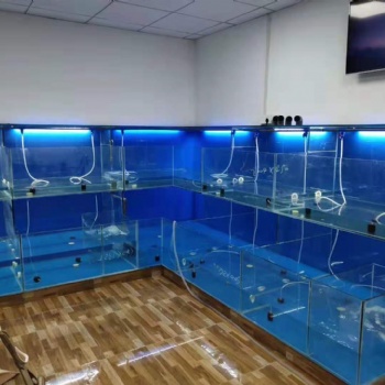 廣州花都小型新型海鮮魚缸安裝價(jià)格 花都專業(yè)海鮮池定做