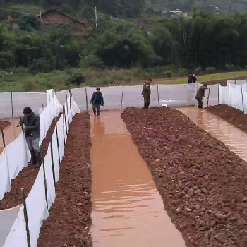 長寧青蛙圍網茂倫防逃網新料好網質量好工廠直發