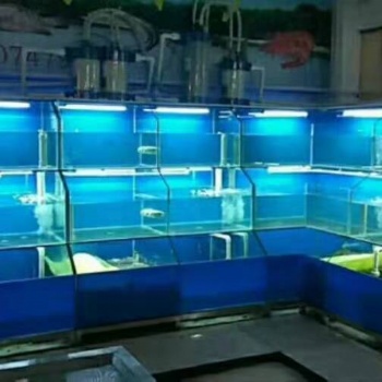 廣州越秀菜市場(chǎng)海鮮池訂做 越秀生猛海鮮魚缸定做安裝