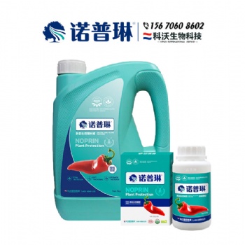 諾普琳辣椒沖施肥用后膨果防落拉直拉長增厚肉質(zhì)效果強
