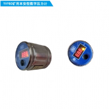 YHY60煤礦用本安型數(shù)字壓力計(jì)單表
