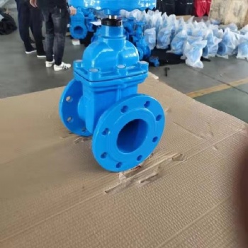 上海埃庫斯Z45X暗桿彈性座封閘閥