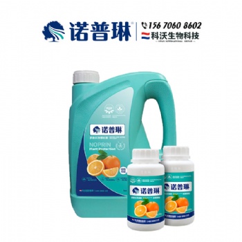 蜜香橙預防大小年用諾普琳**有驚喜