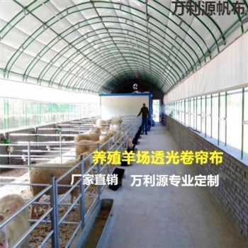 大型擋風(fēng)牛場(chǎng)卷簾布廠家/銷(xiāo)售大型防風(fēng)羊場(chǎng)卷簾布/定做豬場(chǎng)卷簾保溫布