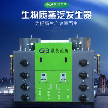 浙江廠家小型顆粒鍋爐 500kg環(huán)保生物質(zhì)蒸汽發(fā)生器