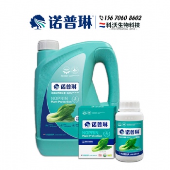 包心芥個大均勻畝產量高的種植技術
