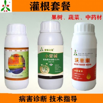 番茄根結線蟲病植株黃化 有機農藥青枯立克水劑