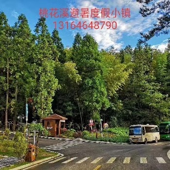桃花溪避暑度假小鎮。距離武漢**近的避暑度假小鎮。夏天22℃的精裝避暑房。