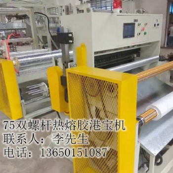 港寶設備，港寶膠片機，鞋材港寶機，雙螺桿港寶機
