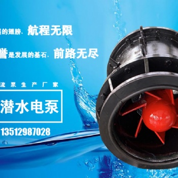 大流量排澇全貫流泵天津上泵