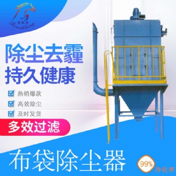 廠(chǎng)家定制 焦化廠(chǎng)布袋除塵器 36袋-360袋布袋除塵器 河北銳馳朗