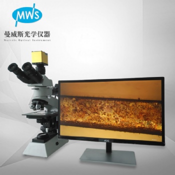 供應MWS-JXP5002金相顯微鏡 粉末芯片鍍層研究級別顯微鏡