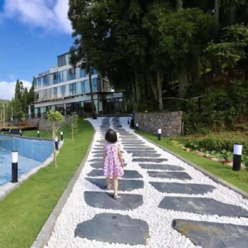 天然青石板花園踏步石汀步石腳踏石園林景觀圓形不規則草坪石
