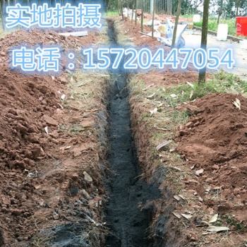 河北防腐降阻劑 惠豐防雷