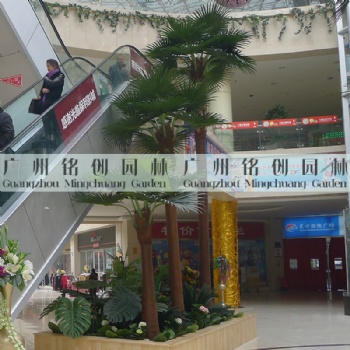 仿真棕櫚樹_仿真扇葵樹_仿真老人葵_仿真華盛頓棕櫚