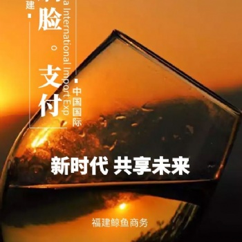 刷臉支付商家和代理如何獲利？