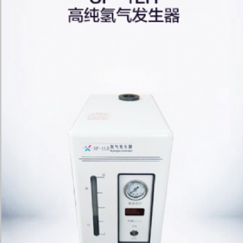 大容量SP-1LH高純氫氣發(fā)生器