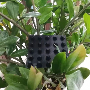 供應湖南車庫蓄排水板價格