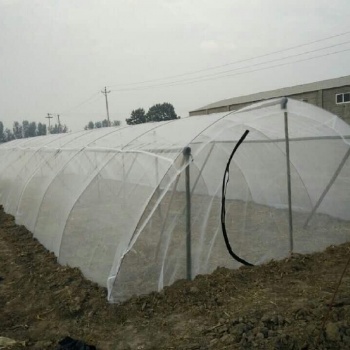 志廣絲網特賣馬蜂蝗蟲養殖網罩新料加厚抗拉抗曬耐用