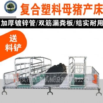 廠家母豬產(chǎn)床雙體母豬產(chǎn)床塑料板產(chǎn)床結(jié)實(shí)耐用組裝簡單