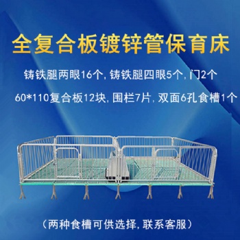 養(yǎng)母豬設(shè)備 雙體母豬產(chǎn)床分娩床設(shè)備泊頭遠(yuǎn)承廠家