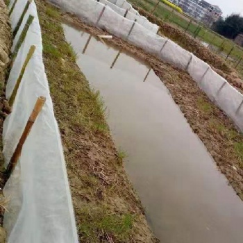 魚塘養殖青蛙所用防逃網食臺網天網防逃光滑不沾泥好沖洗