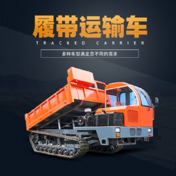 現貨供應履帶運輸車 山區(qū)多功能四不像履帶運輸車