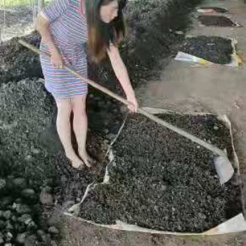 蚯蚓養殖技術，免費教學