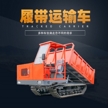 廠家現貨全地形履帶運輸車 橡膠鋼制礦用山地爬山履帶運輸車