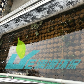 含油廢水處理微生物技術