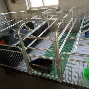 養豬設備熱賣母豬產床保育床限位欄