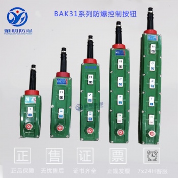 BAK31-8K BAK31-6K BAK31-4k防爆控制按鈕手柄