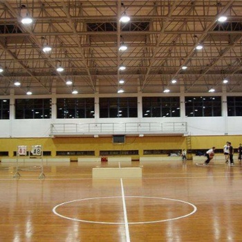 室內(nèi)籃球館木地板 羽毛球館地板廠(chǎng)家供應(yīng)