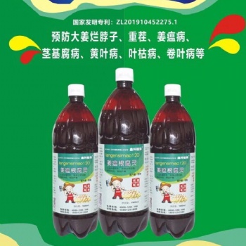 鑫科植保 姜瘟根腐靈 大姜根腐病爛根死苗 大姜爛脖子病 莖基腐病