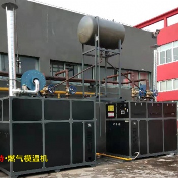 湖州低氮雙盤管燃氣模溫機溫差小排放低