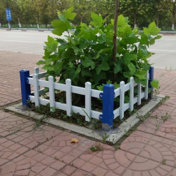 山東PVC草坪護欄 花園迷你小圍欄 匠之心廠家