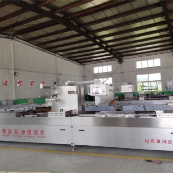 康瑞達(dá)DZR420拉伸膜包裝機(jī) 休閑食品小面筋拉伸膜包裝機(jī)