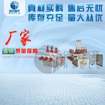 長期供應ZW10-11-12G戶外智能高壓雙電源切換裝置廠家