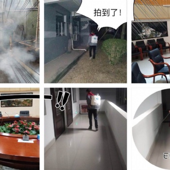 深圳專業除臭蟲、宿舍滅臭蟲、工廠殺除臭蟲、家庭除臭蟲