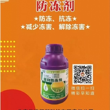 鑫科植保植物防凍劑 植物抗凍 果樹防凍劑 防凍液廠家 果蔬抗凍劑 大樹抗凍劑