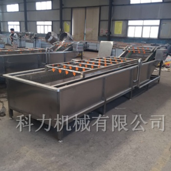 醬菜加工設(shè)備自動(dòng)清洗機(jī)