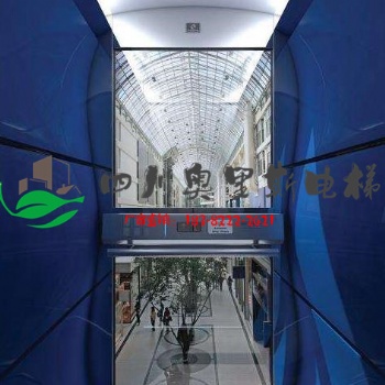成都定制別墅電梯安裝，定制家用電梯報價表