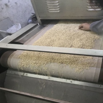 陜西氧化鋯微波烘干機