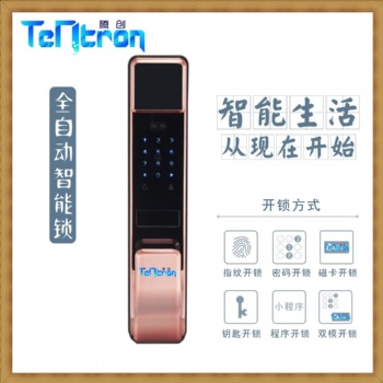 騰創(chuàng)智能全自動門鎖A19鎖體通用兩端鎖體