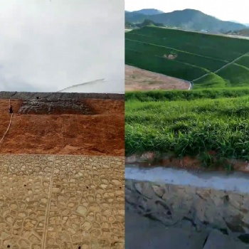 高速公路邊坡綠化-山體綠化客土噴播-掛網(wǎng)客土噴播